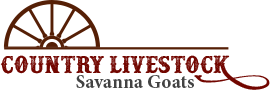 savannah-goat-logo